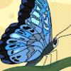 n_spilotras